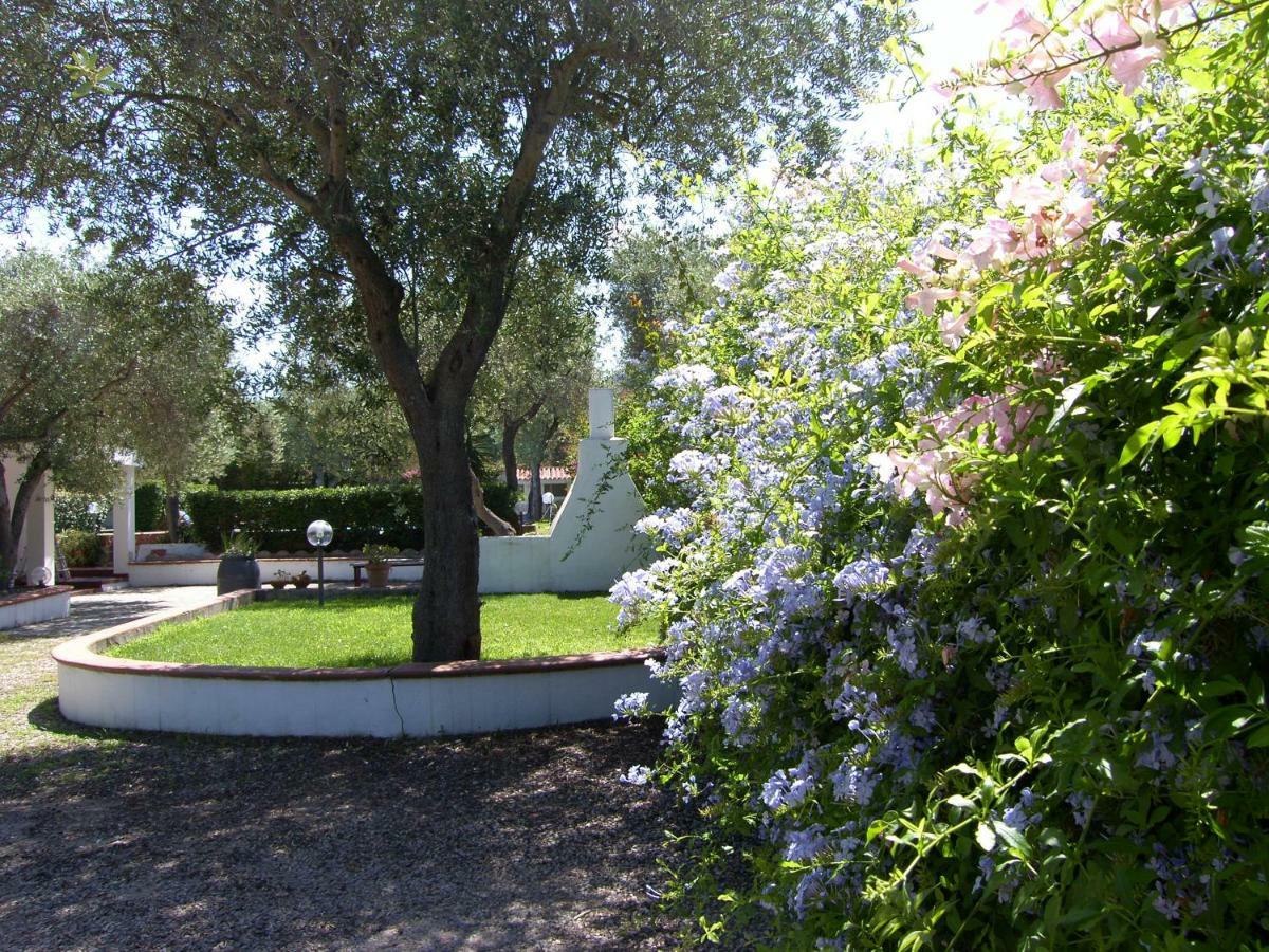 Villa Sarda Sorso Eksteriør billede